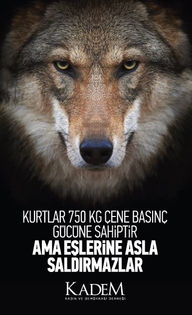 kadem